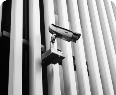 Automated Detection System