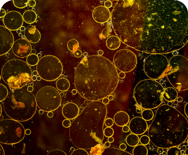 Environmental Impact
Assessment