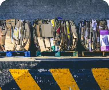 AI-Powered Route Optimization