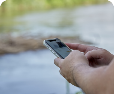 Automated
Contamination Alerts