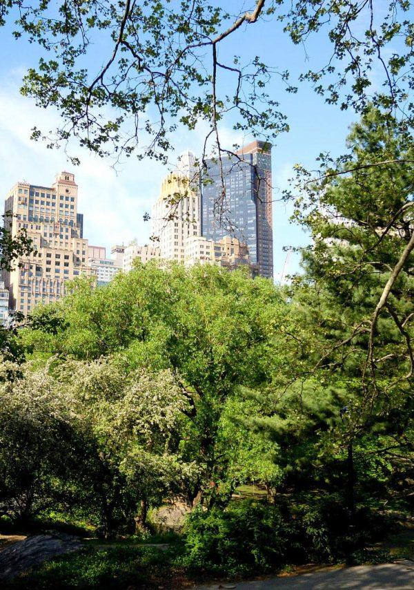 environmental impact